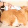 تحميل الصورة في عارض المعرض, 2 in 1 Pet Hair Dryer