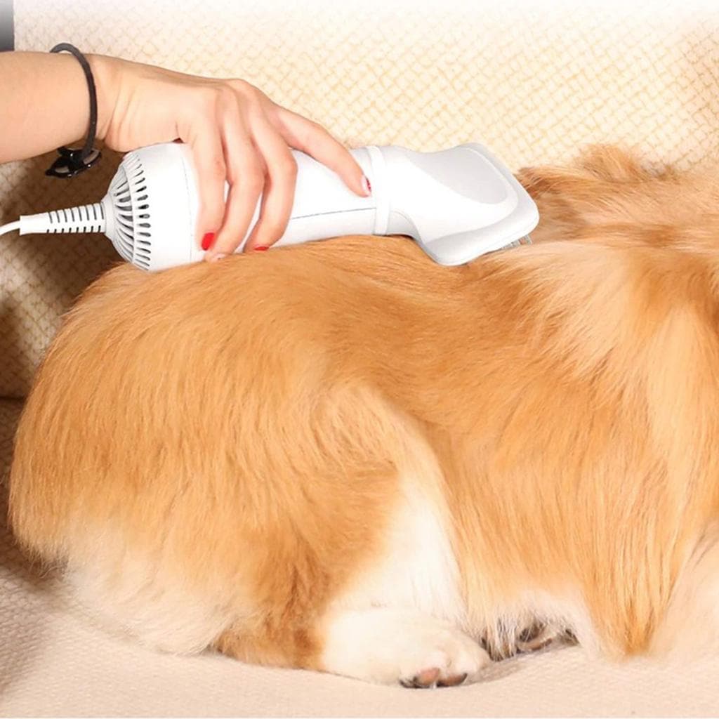 2 in 1 Pet Hair Dryer