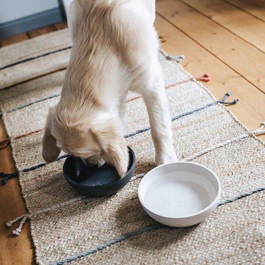 BAMBOO - Stylish Dog Bowl
