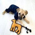 Load image into Gallery viewer, Spirit Animal Toy