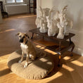 Load image into Gallery viewer, Budo Dog Bed
