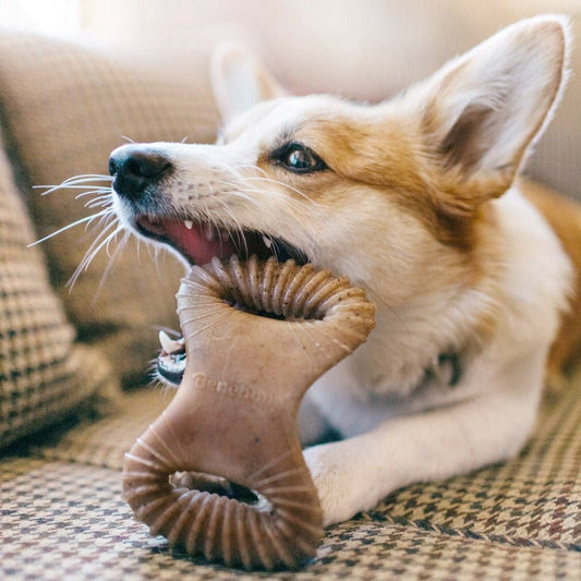Dental Dog Chew Toy – Chicken