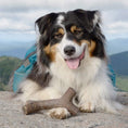 Load image into Gallery viewer, Maplestick Chew Dog Toy