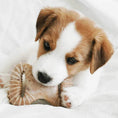 Load image into Gallery viewer, Puppy 2-Pack Dental Chew/Wishbone (Tiny)
