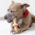 Load image into Gallery viewer, Zaggler Dog Chew Toy – Chicken