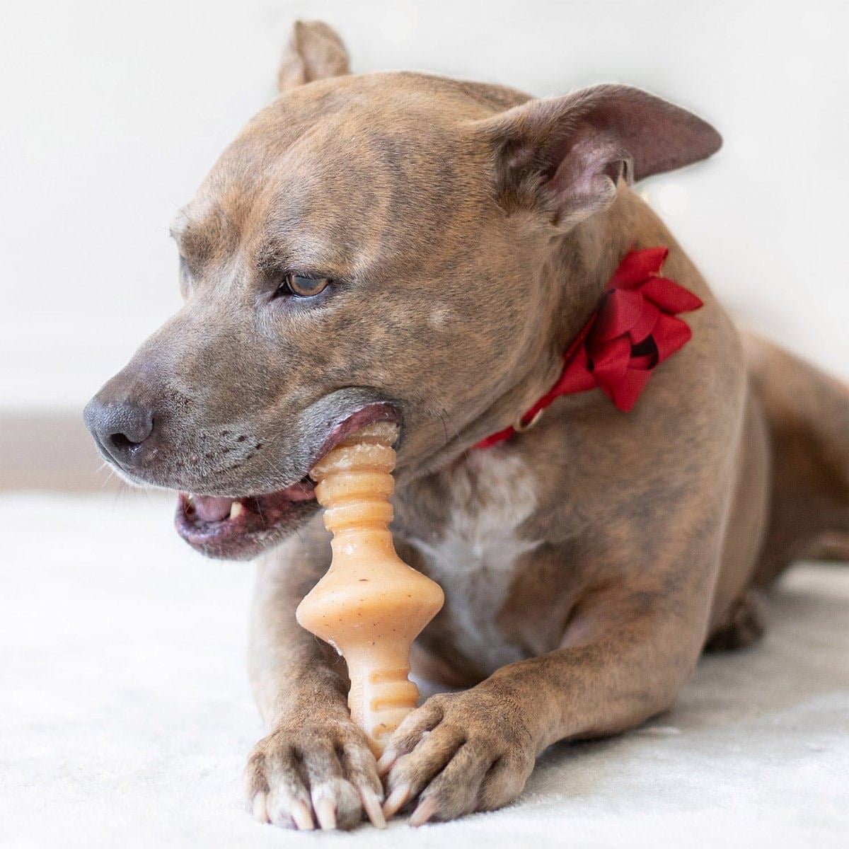 Zaggler Dog Chew Toy – Chicken