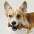 Load image into Gallery viewer, Zaggler Dog Chew Toy – Chicken