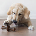 Load image into Gallery viewer, Zaggler Dog Chew – Peanut