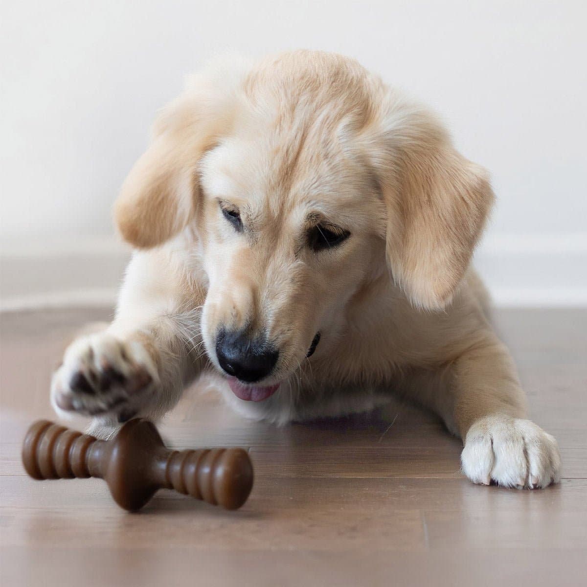 Zaggler Dog Chew – Peanut