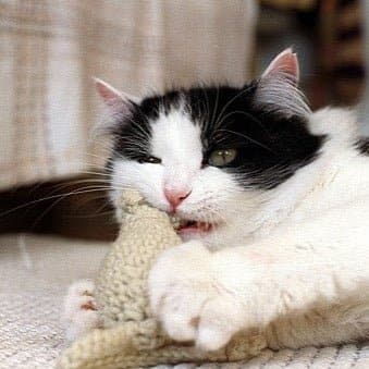 Sisal Spinner Toy