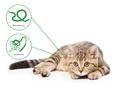 Load image into Gallery viewer, Cat Dewormer Tablets