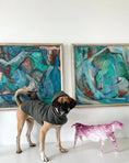 Load image into Gallery viewer, Pluvio Raincoat