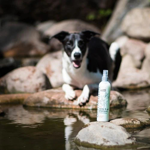 Spray & Go Shampoo