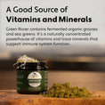 Load image into Gallery viewer, Green Rover - Green Ferment