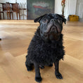 Load image into Gallery viewer, Fluffy Jumper Black