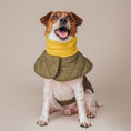 Load image into Gallery viewer, Muffler Quilted Coat