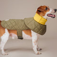 Load image into Gallery viewer, Muffler Quilted Coat