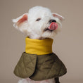 Load image into Gallery viewer, Muffler Quilted Coat