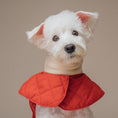 Load image into Gallery viewer, Muffler Quilted Coat