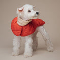 Load image into Gallery viewer, Muffler Quilted Coat