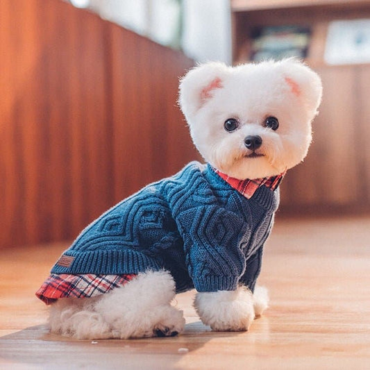 Sweater Shirt Set