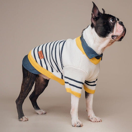 Sweater with Shirt Collar
