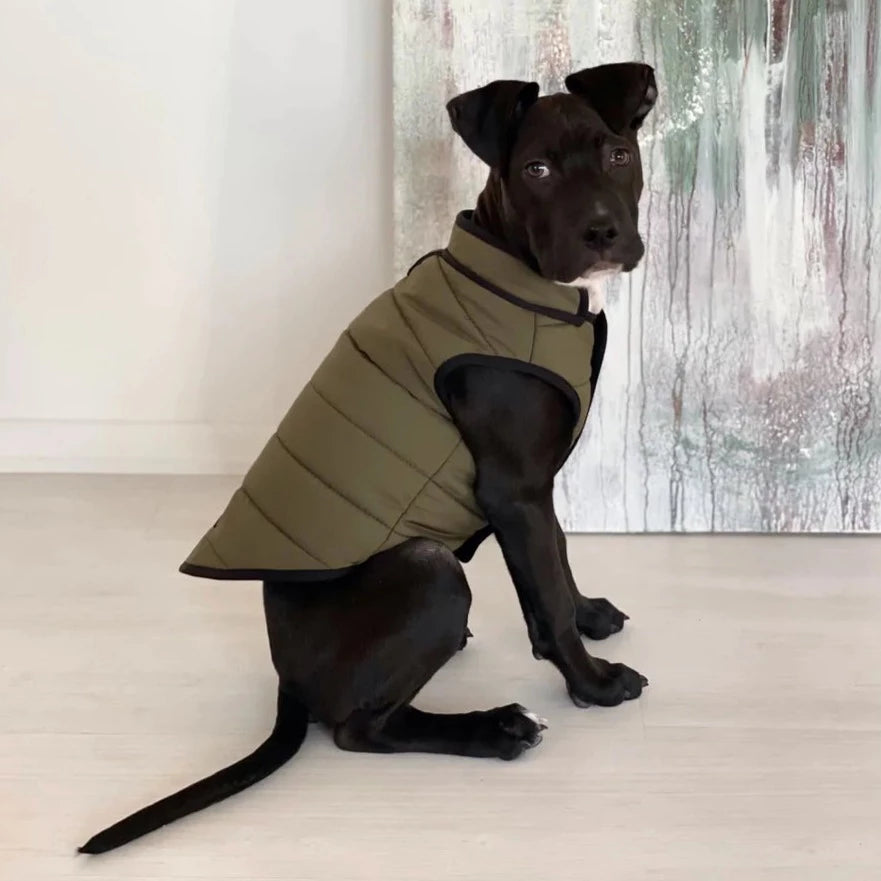 Hive Puffer Coat