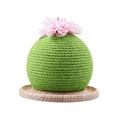 Load image into Gallery viewer, Cactus Scratch Ball