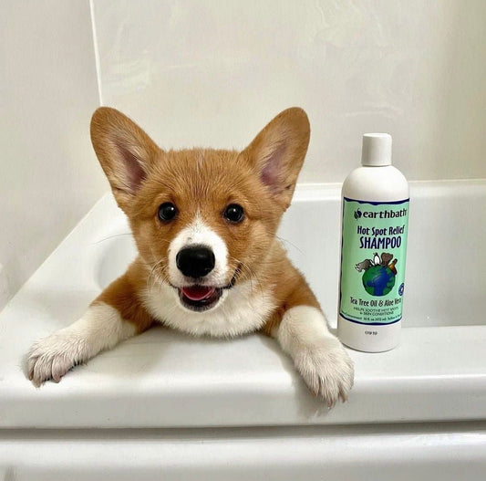 Earthbath Hot Spot Relief Shampoo