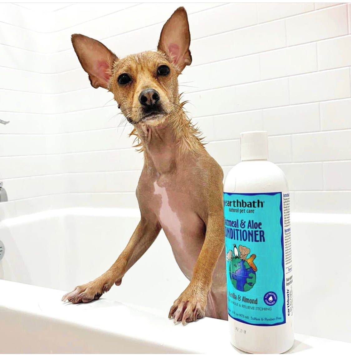 Earthbath Oatmeal & Aloe Conditioner
