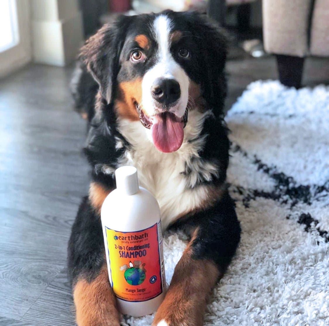 Earthbath 2-in-1 Conditioning Shampoo - Mango Tango