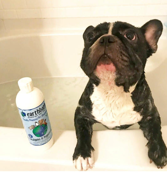 Earthbath Soothing Stress Relief Shampoo