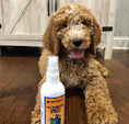 تحميل الصورة في عارض المعرض, Earthbath 3-IN-1 Deodorizing Spritz - Mango Tango