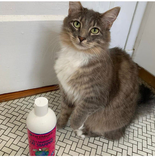 Earthbath 2-in-1 Conditioning Cat Shampoo- Light Wild Cherry