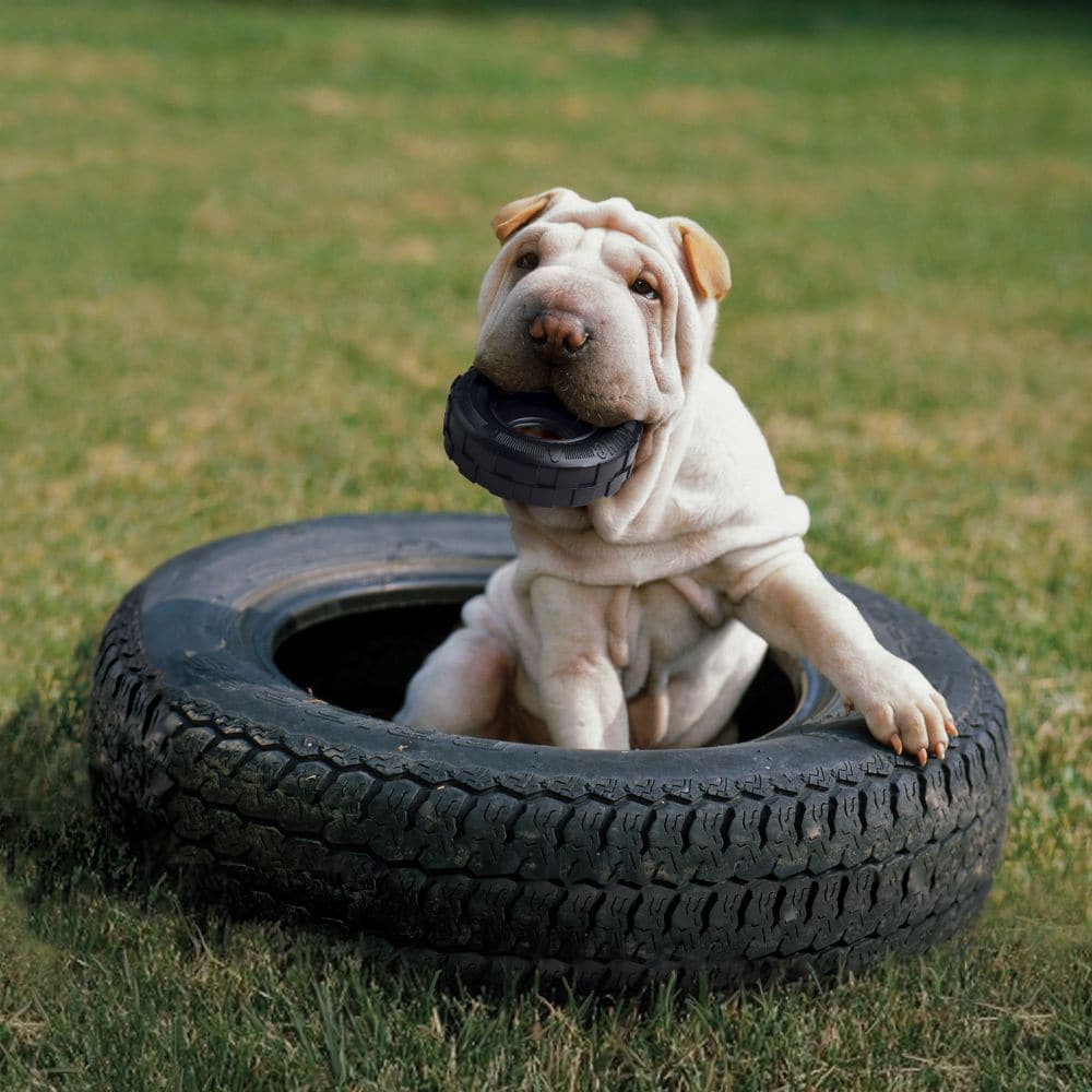 Extreme Tires