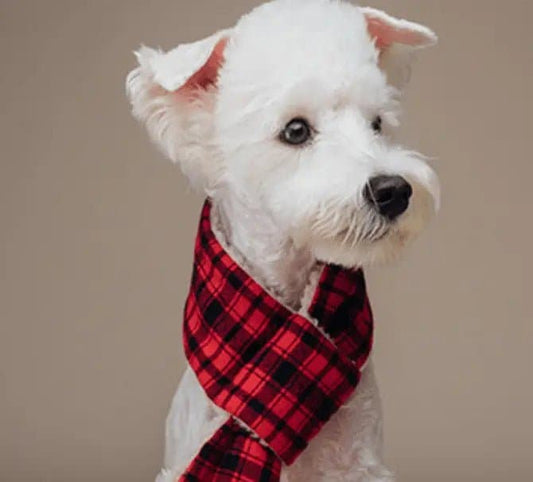 Plaid Plush Scarf
