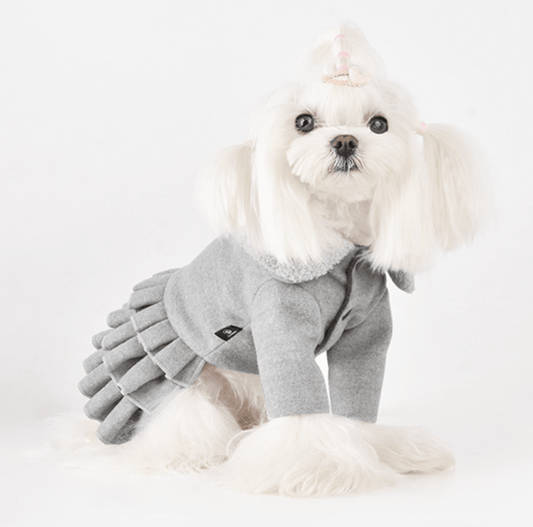 Ruffles Winter Dress