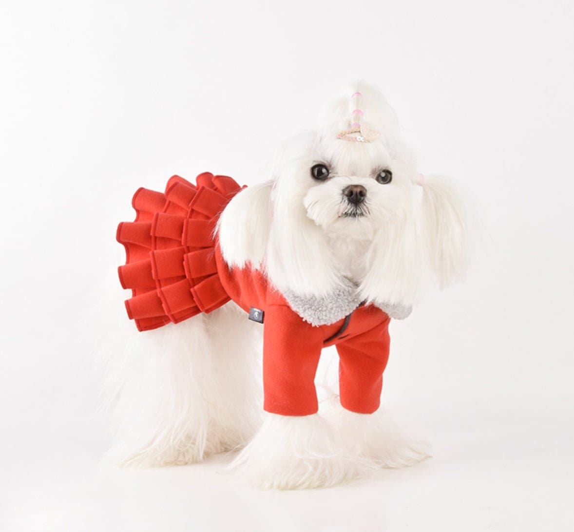 Ruffles Winter Dress