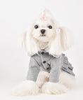 Load image into Gallery viewer, Ruffles Winter Dress