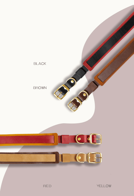 Oxygen Leather Collar