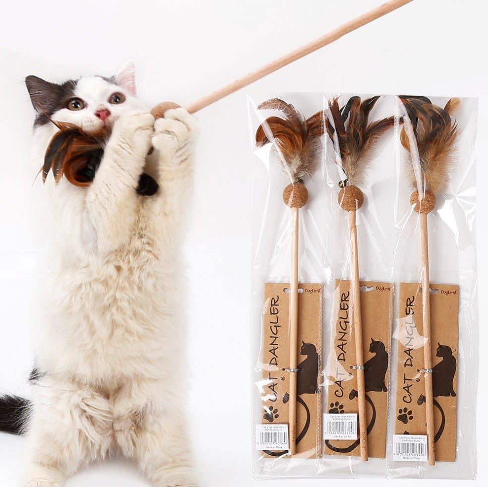 Catnip Feather Teaser