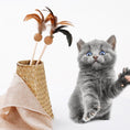 Load image into Gallery viewer, Catnip Feather Teaser