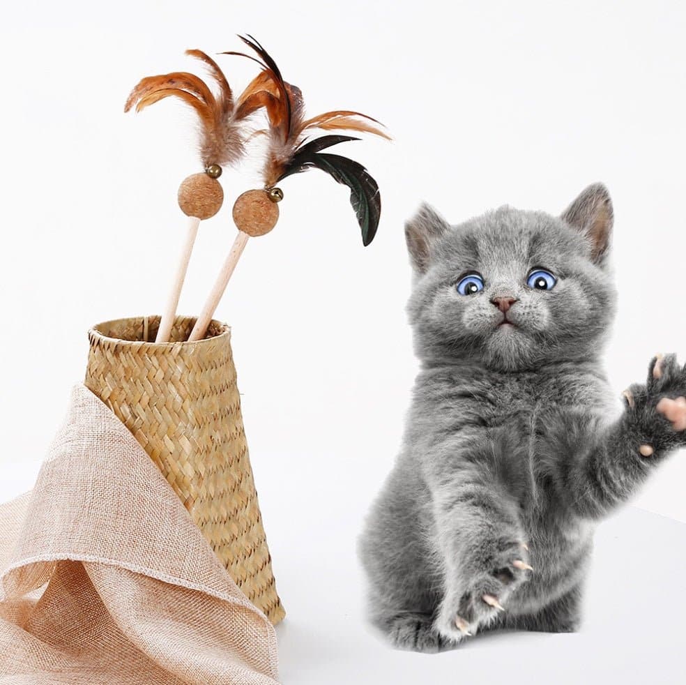 Catnip Feather Teaser