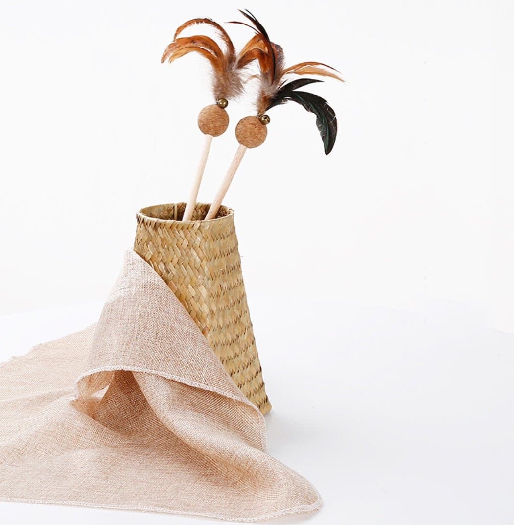 Catnip Feather Teaser