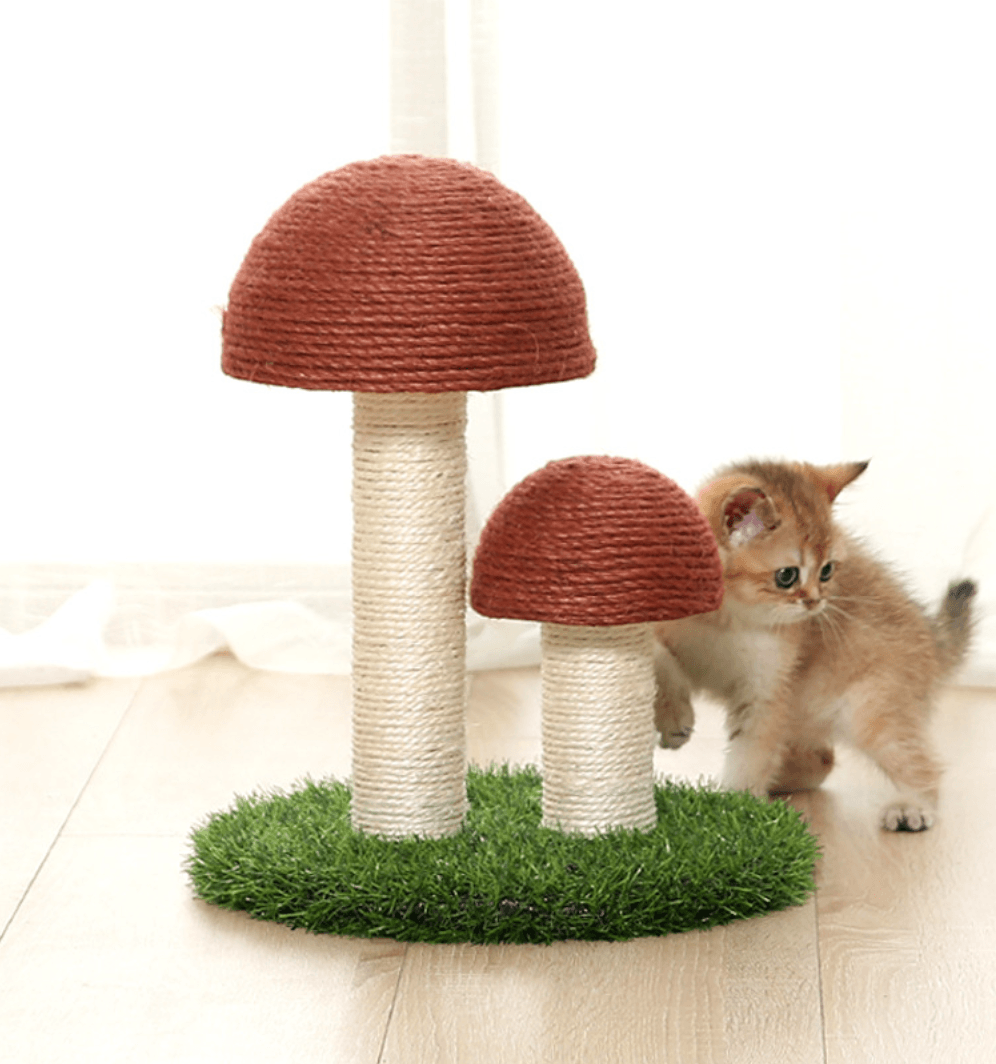 Mushroom Scratcher