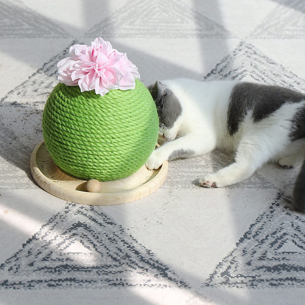Cactus Scratch Ball