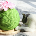 Load image into Gallery viewer, Cactus Scratch Ball