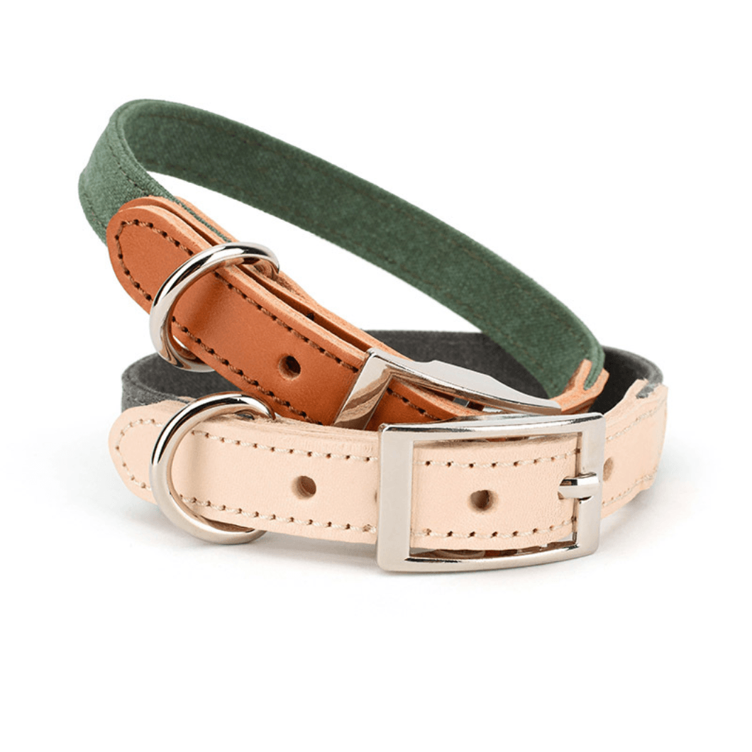 Canvas  Series Complete Dog Set