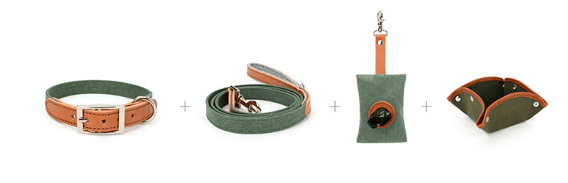 Canvas  Series Complete Dog Set