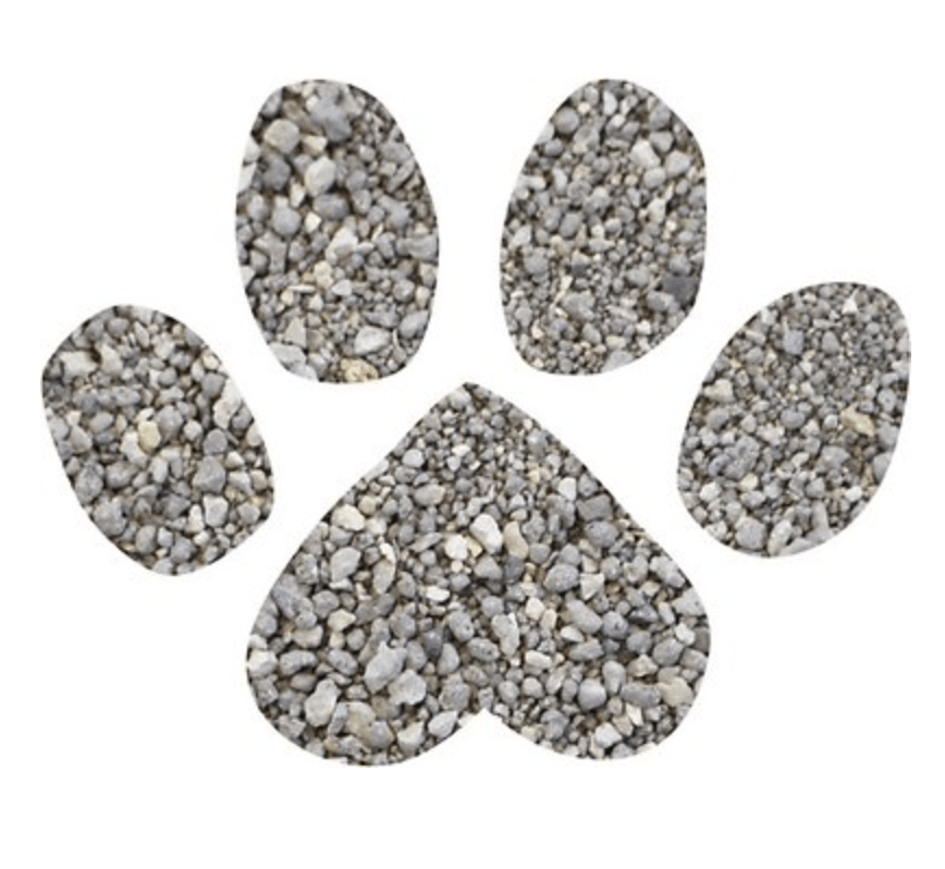 Premium Cat Litter Classic - Unscented